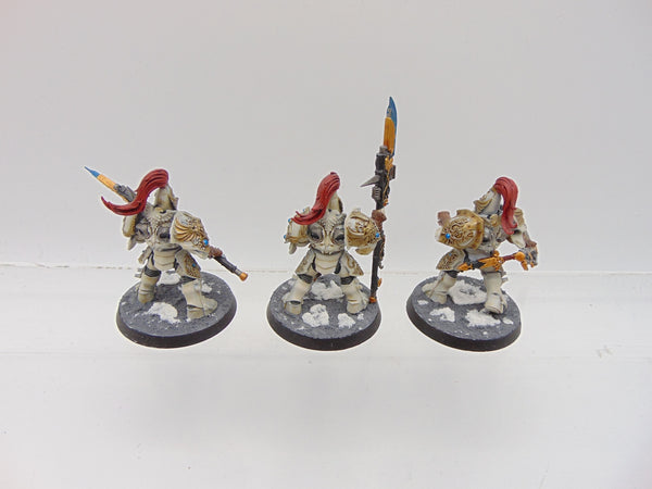 Custodian Guard Squad