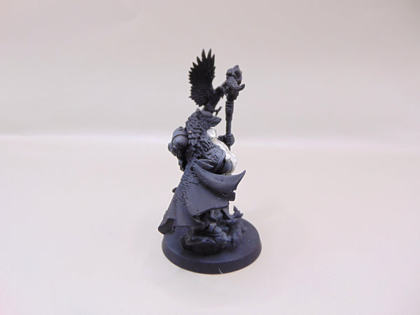 Njal Stormcaller