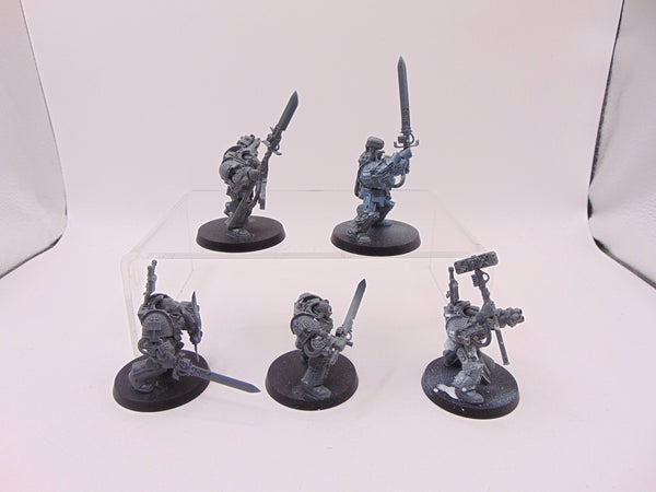 Paladin Squad