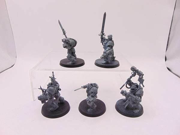 Paladin Squad