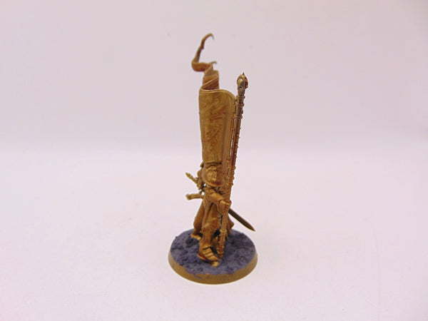 Knight Vexillor with Banner of Apothesis