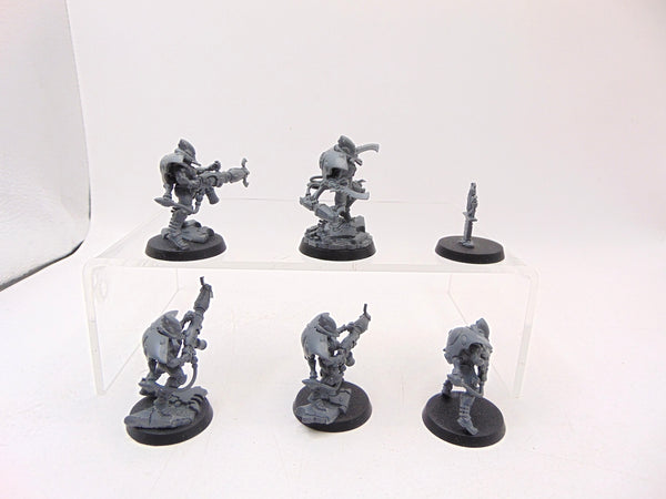 Warp Spiders