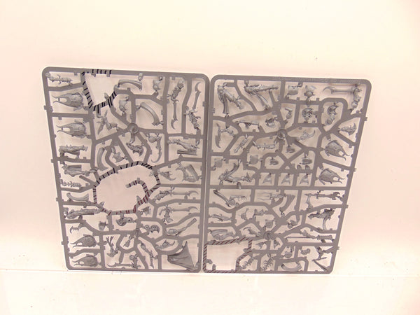 Myrmidesh Painbringers / Symbaresh Twinsouls