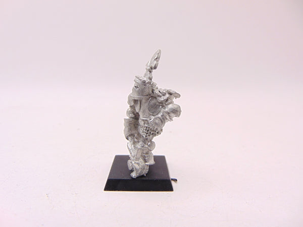 Bretonnian Battle Lord