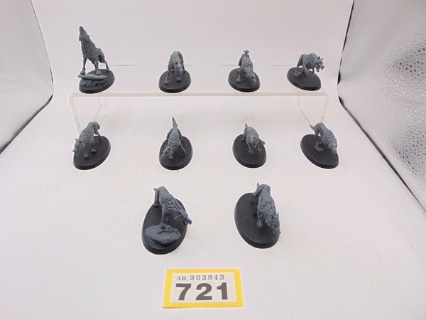 Dire Wolves