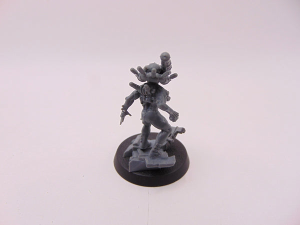 Culexus Assassin