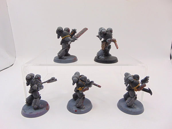 Assault Intercessors