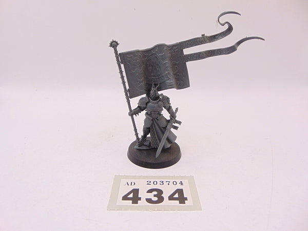 Knight Vexillor with Banner of Apotheosis