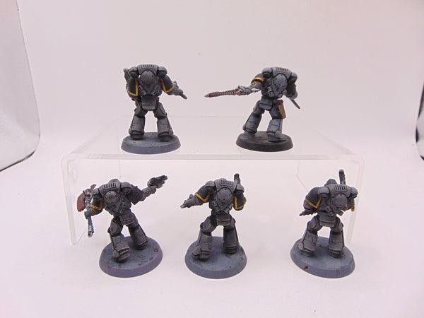 Assault Intercessors