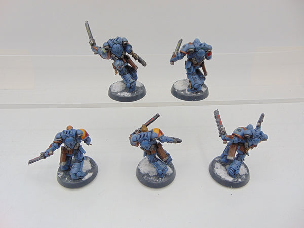 Assault Incercessors