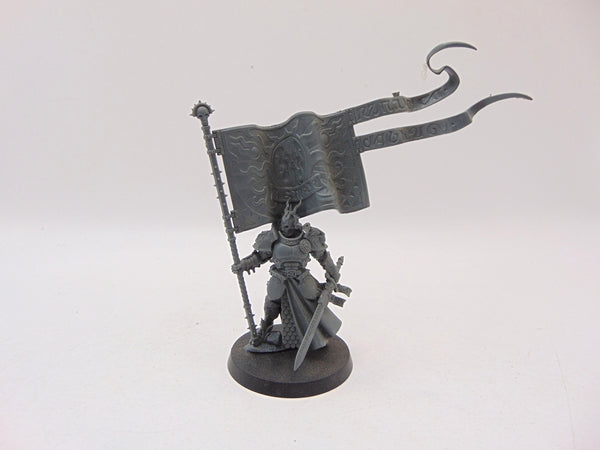 Knight Vexillor with Banner of Apotheosis