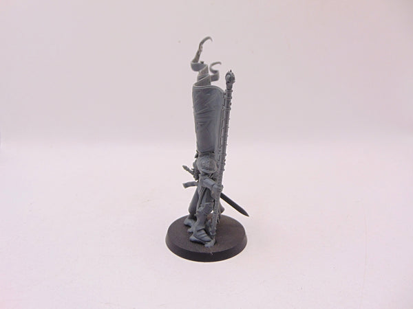 Knight Vexillor with Banner of Apotheosis