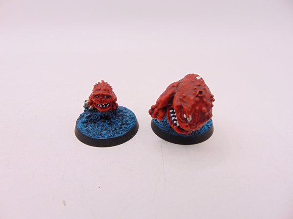 The Chase - Squigs