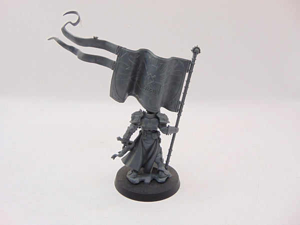 Knight Vexillor with Banner of Apotheosis