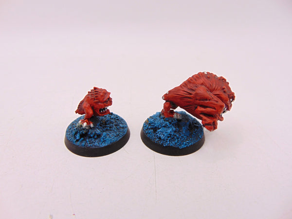 The Chase - Squigs