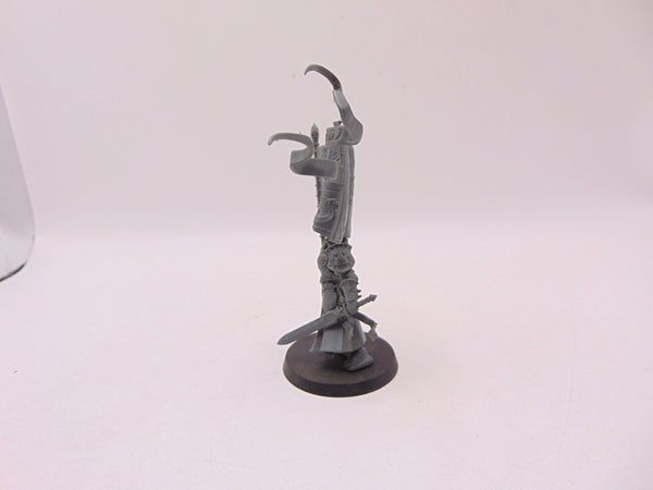 Knight Vexillor with Banner of Apotheosis