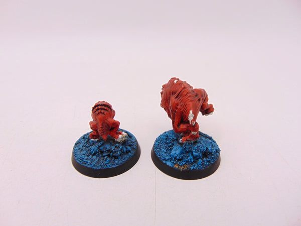 The Chase - Squigs