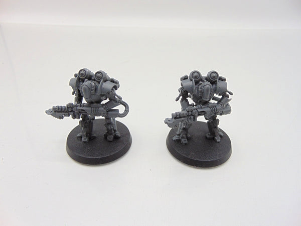 Thallax Cohort