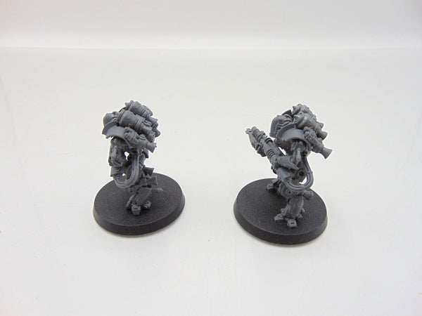 Thallax Cohort