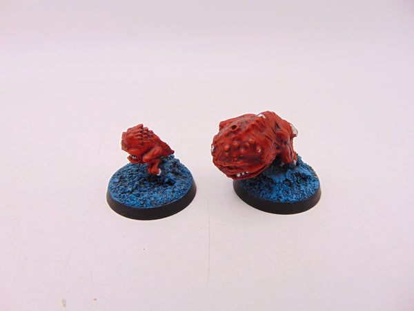 The Chase - Squigs