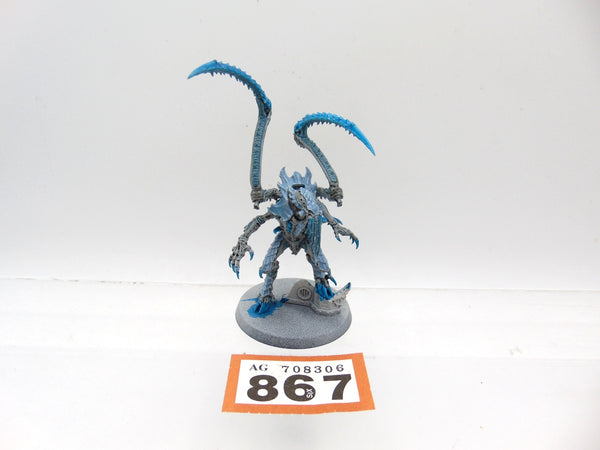 Lictor