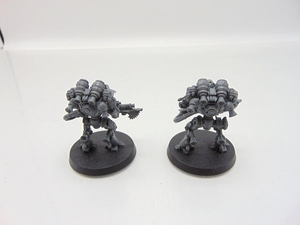 Thallax Cohort