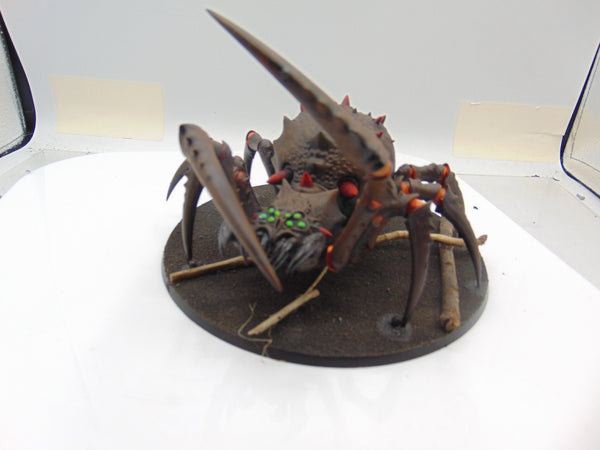 Skitterstrand Arachnarok