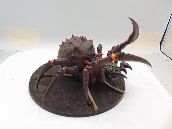 Skitterstrand Arachnarok