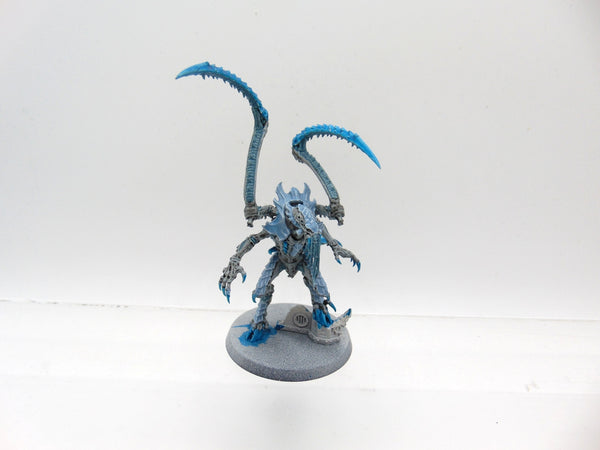 Lictor