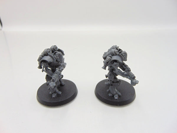 Thallax Cohort