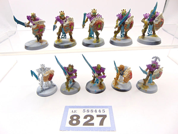 Mortek Guard