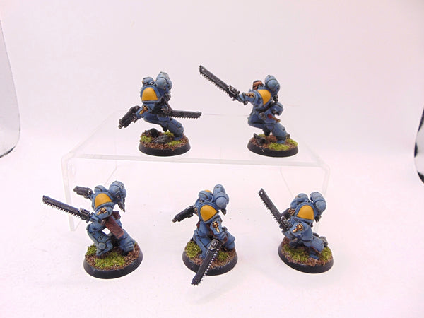 Assault Intercessors