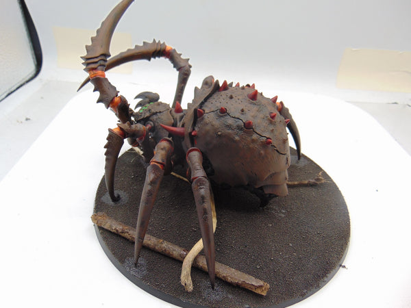 Skitterstrand Arachnarok