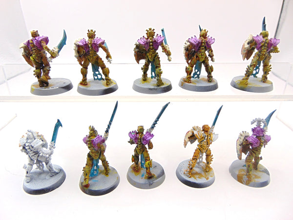 Mortek Guard