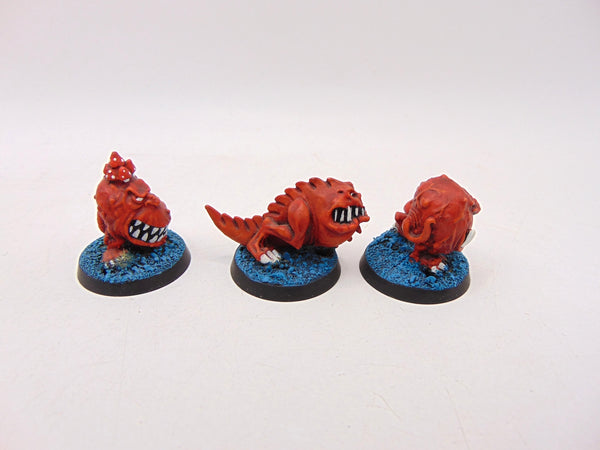 Squigs