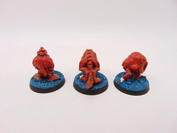 Squigs