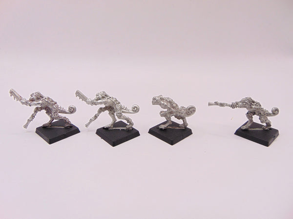 Chameleon Skinks