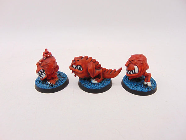 Squigs