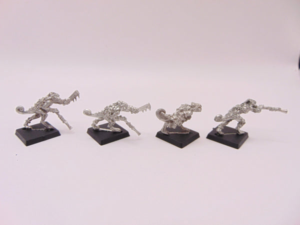 Chameleon Skinks