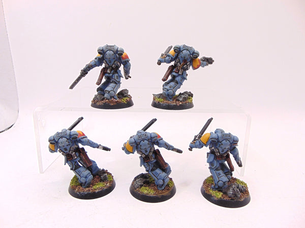 Assault Intercessors
