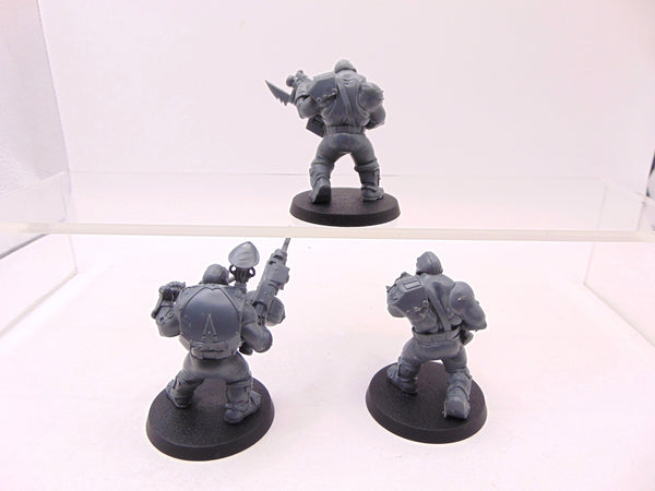 Ogryns