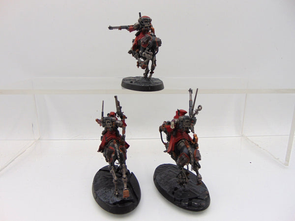 Serberys Raiders