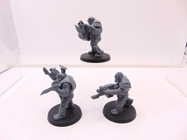 Ogryns