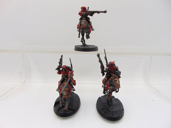 Serberys Raiders