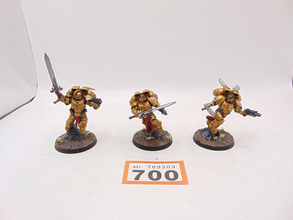 Sanguinary Guard
