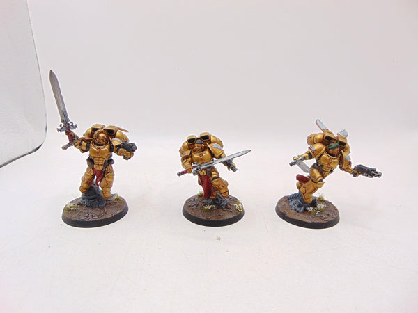 Sanguinary Guard