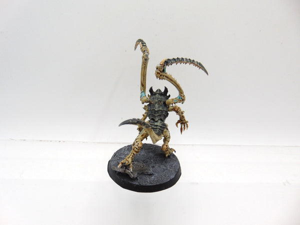 Lictor