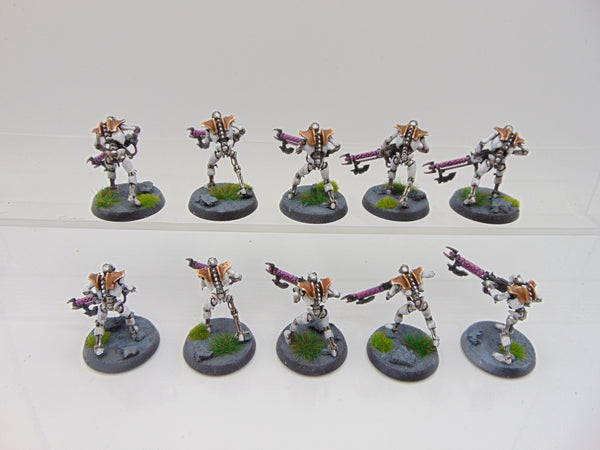 Necron Warriors