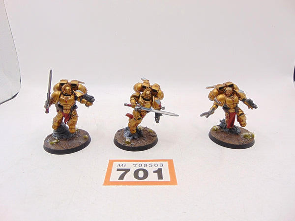 Sanguinary Guard