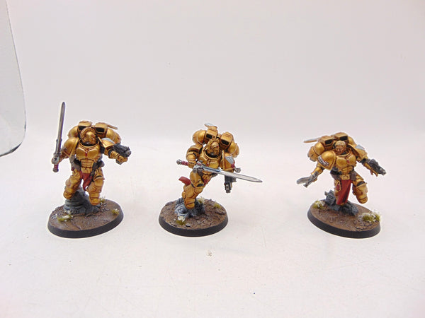 Sanguinary Guard